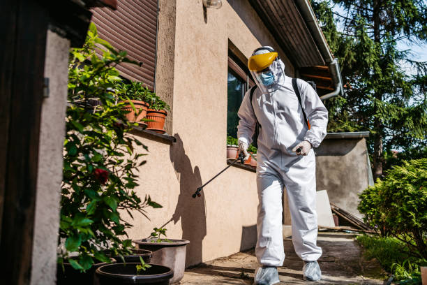 Best Exterminator Services  in Eden Isle, LA