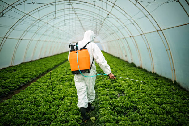 Best Pest Control Near Me  in Eden Isle, LA